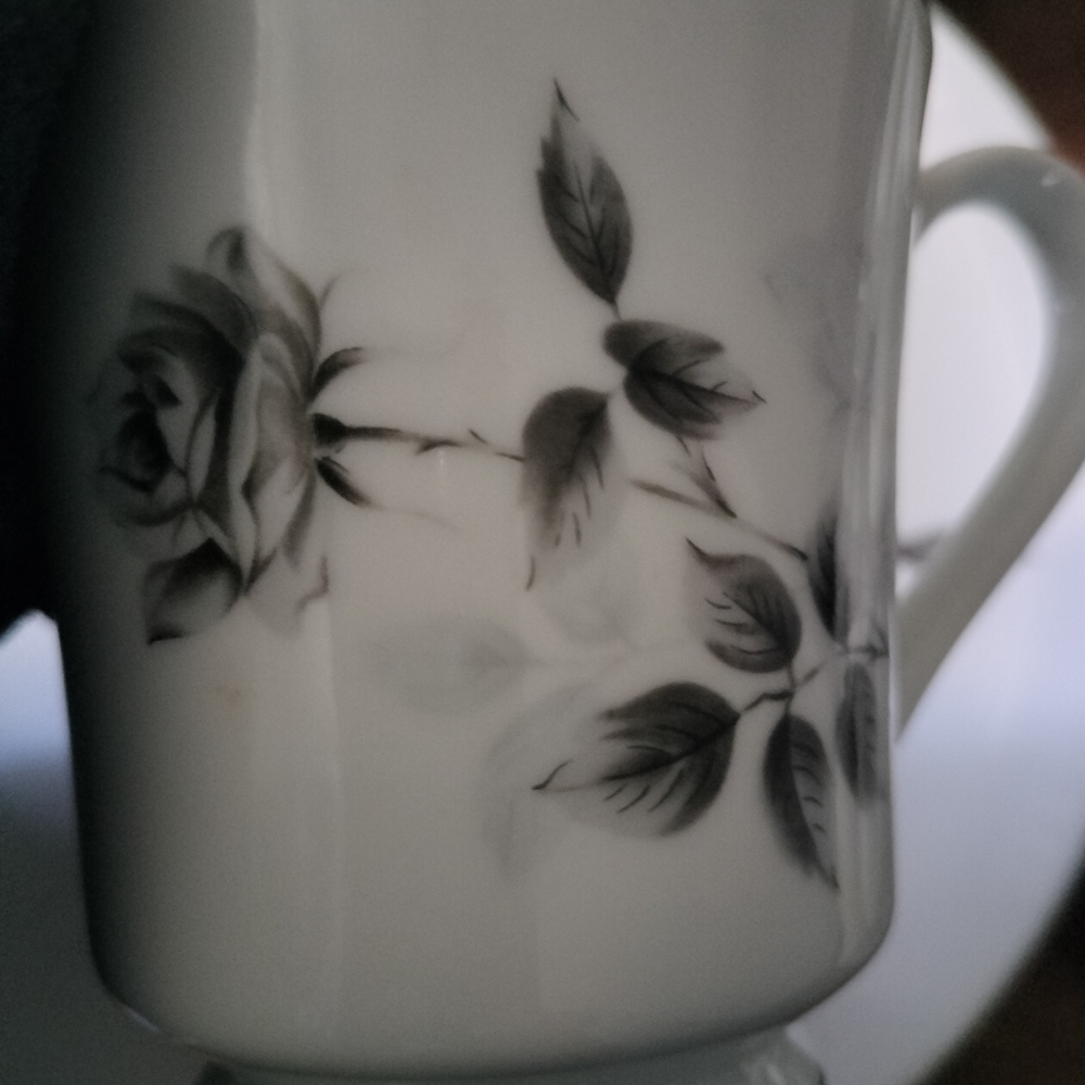 45 piece fine China set